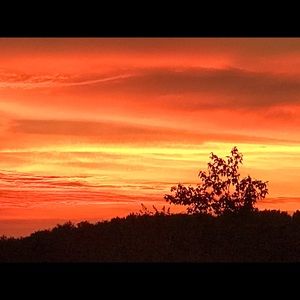 Meet your Posher, Fran